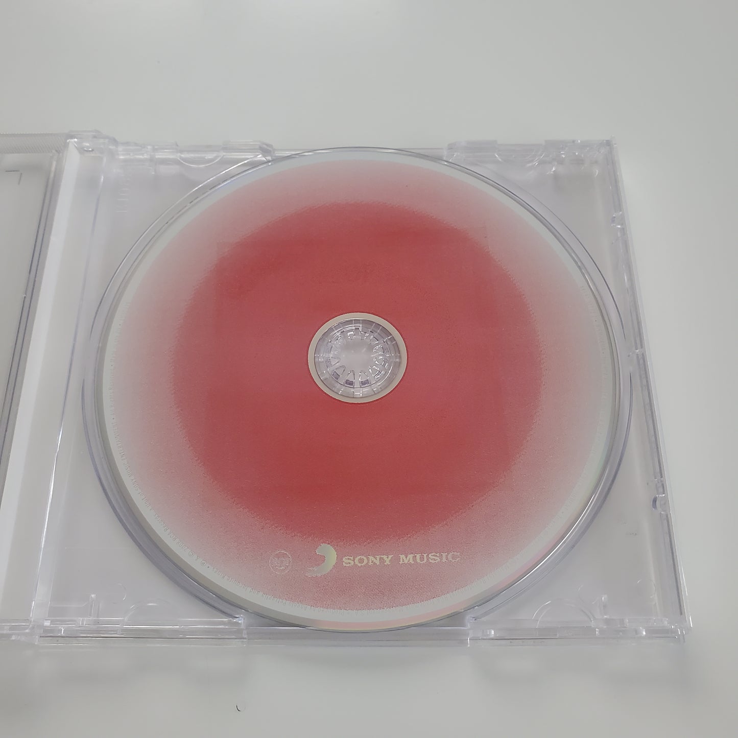 KINGS OF LEON Only by the night